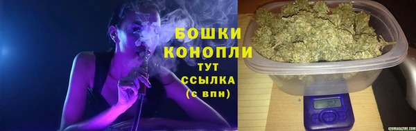 крисы Верея