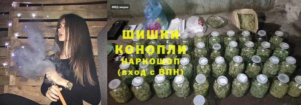 крисы Верея