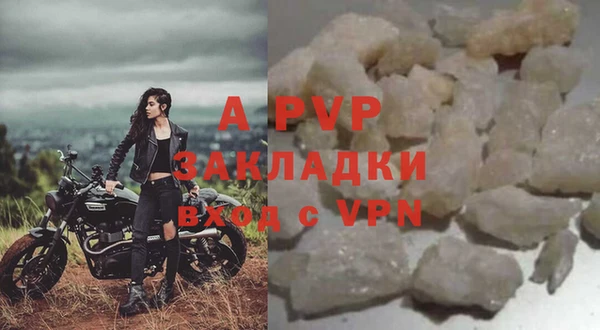 крисы Верея