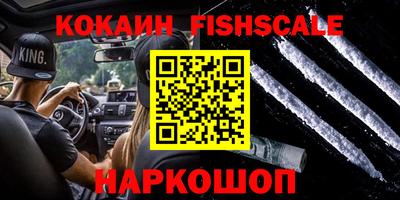 мдпв Партизанск