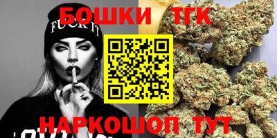 мдпв Партизанск