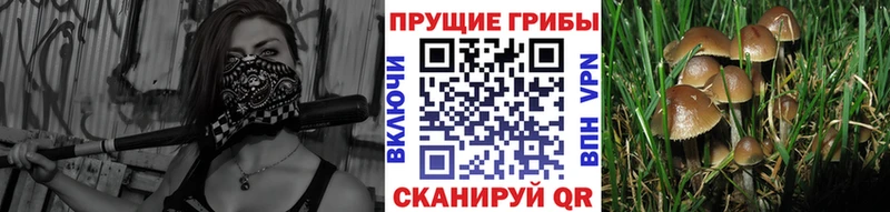 Псилоцибиновые грибы MAGIC MUSHROOMS  Миасс 